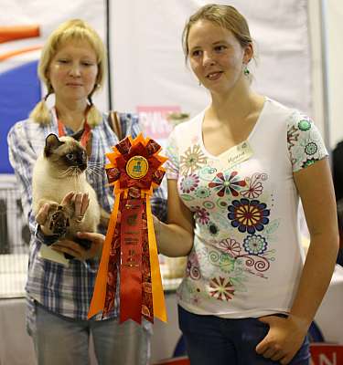 �������� ����� 20-21 �������� 2014 WCF-����� 10-237-169A1130 copy.jpg